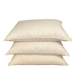 Žąsų pūkų un spalvu spilvens STANDARD (70/30) - Spilvens