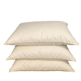 Žąsų pūkų un spalvu spilvens STANDARD (70/30) - Spilvens